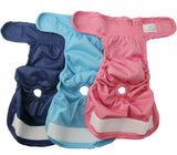 TailWag Planet Premium Washable & Reusable Dog Diapers Covers Clothes Super Absorbent, for Female Doggie, Small, Pack of 3
